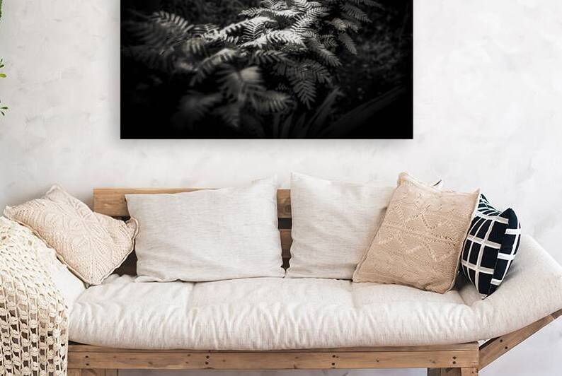 Ethereal Ferns: Whispers Beneath the Canopy by Dream World Images