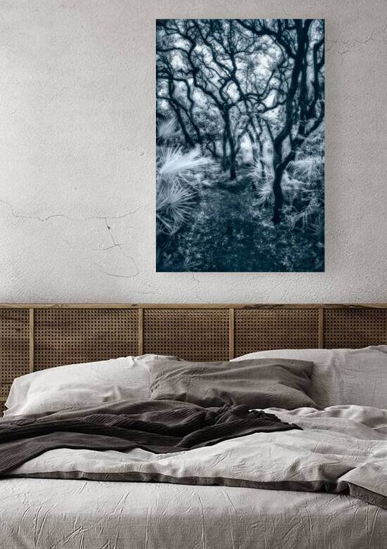 Enchanted Passage: Blue Dawn in the Oaks by Dream World Images