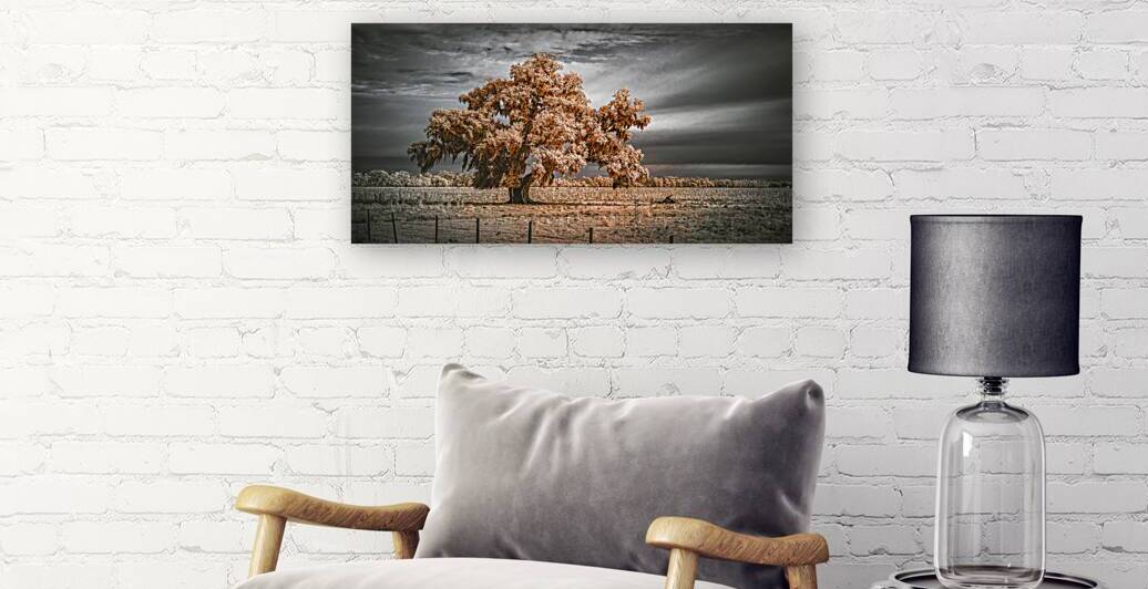 Guardian of the Bayou Country by Dream World Images