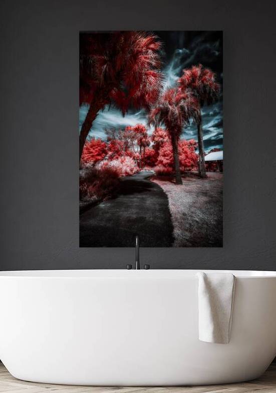 Where the Palms Turn to Ember by Dream World Images