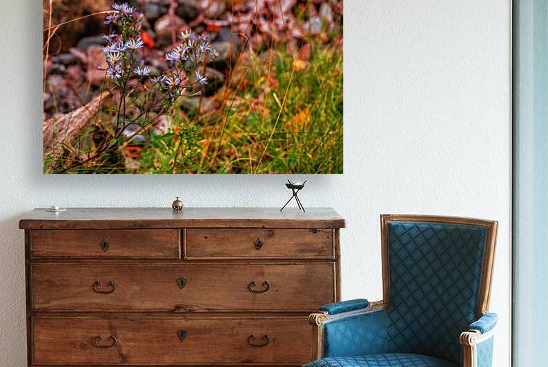 Autumns Last Dance by Dream World Images