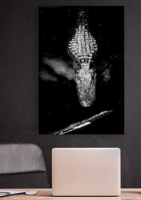 The Armor Beneath the Surface by Dream World Images