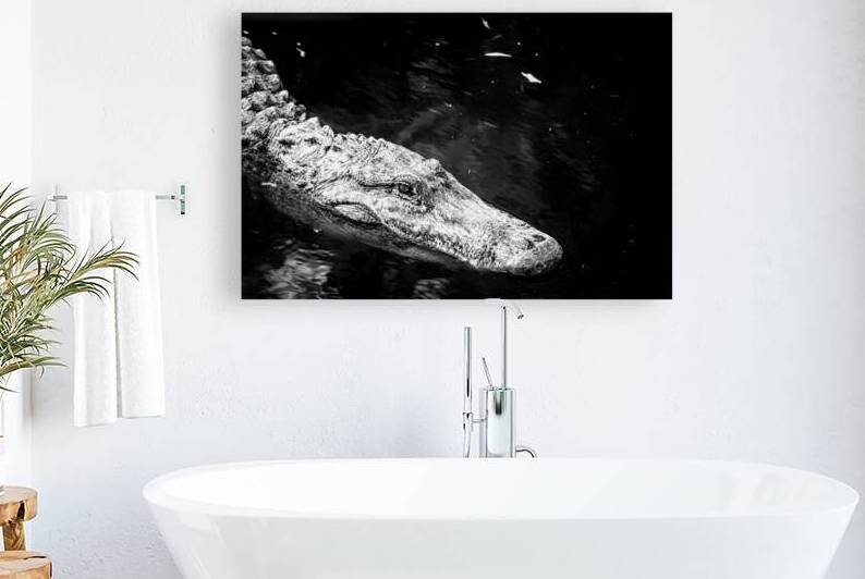 Old Eyes Dark Water by Dream World Images