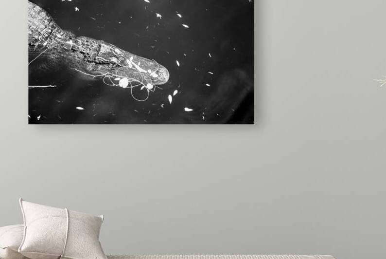 Drift Then Silence by Dream World Images