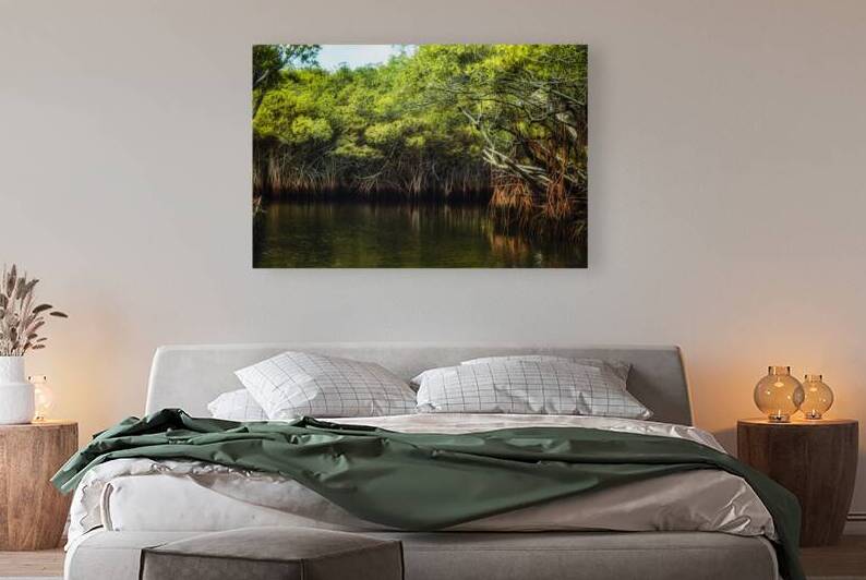 Where the Mangroves Whisper by Dream World Images