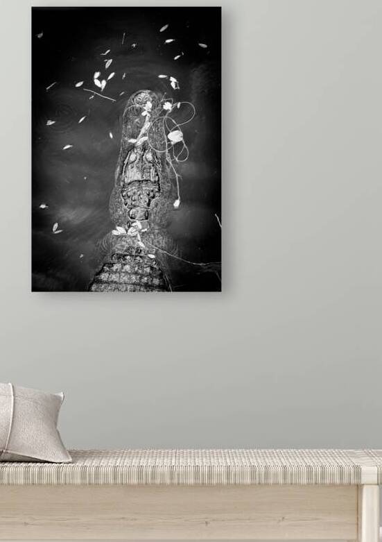 Stillness with Teeth by Dream World Images