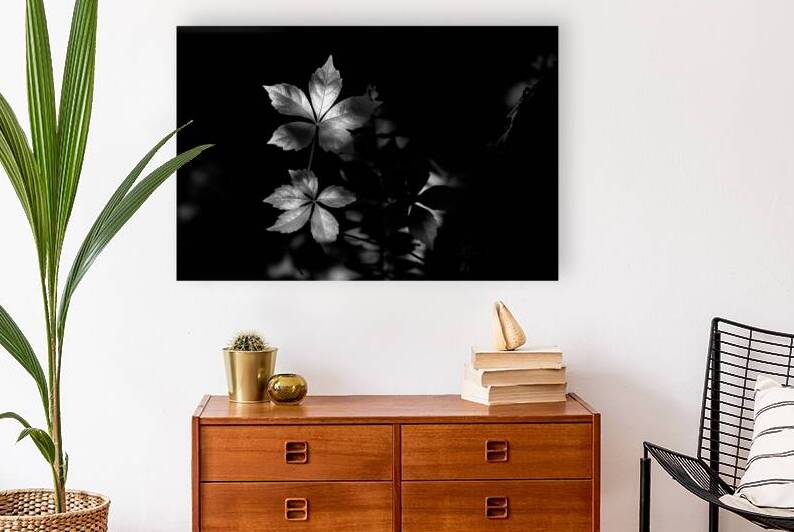 The Leaf That Floats by Dream World Images