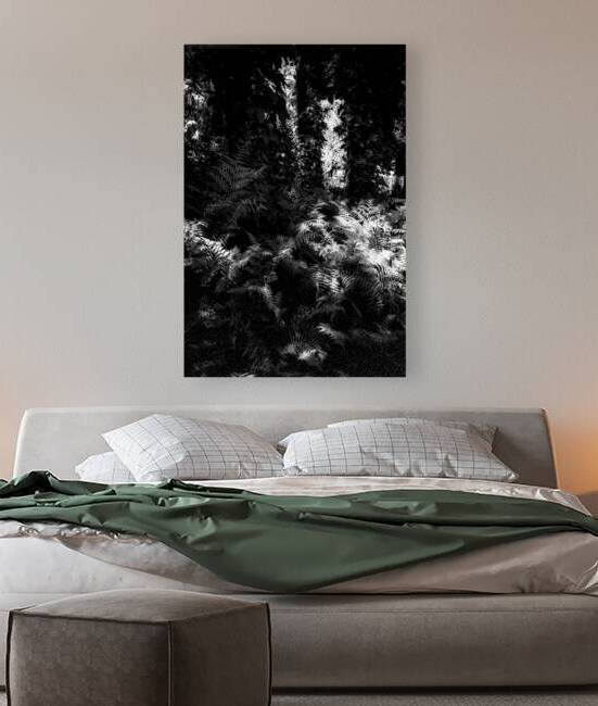 Fernlight by Dream World Images