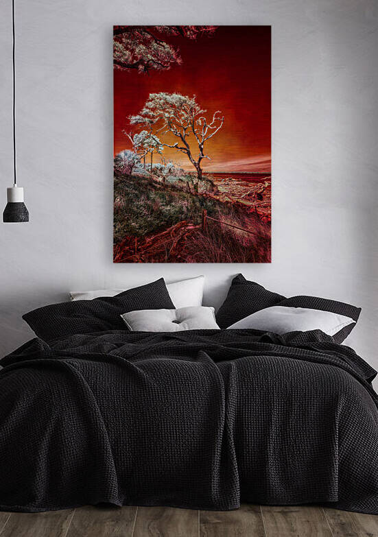 Ruby Bonsai: A Botanical Marvel Unveiled on Driftwood Beach by Dream World Images