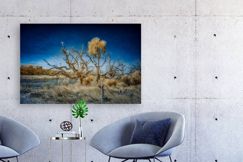 Isolated Serenity: Rows End by Dream World Images