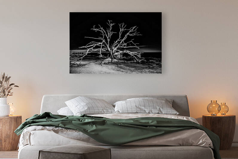 Ghost Dancer  by Dream World Images