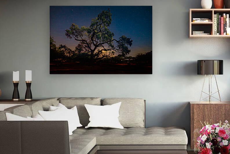 Lighting the Night by Dream World Images