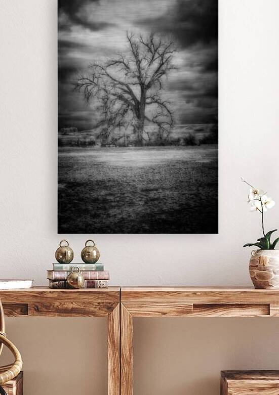 Sentinel of Solitude: Capturing Fort Laramies Majestic Lone Tree by Dream World Images