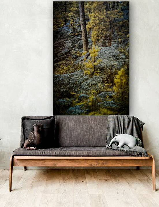 Solitude Amidst Serenity: The Lone Pine Tree by the Lake by Dream World Images