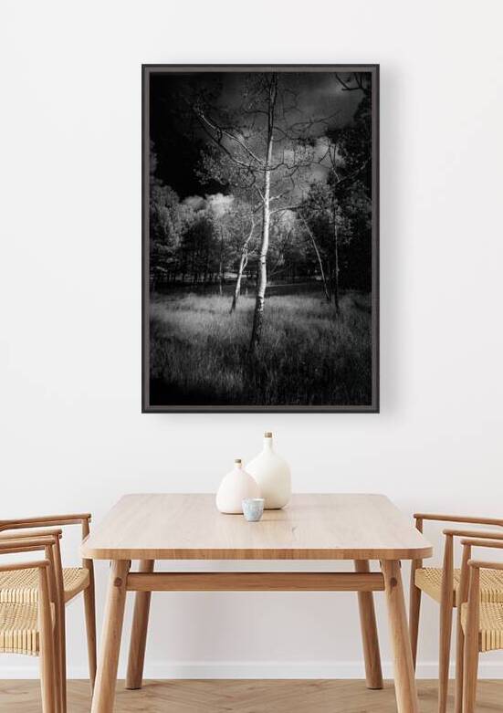 Ansel Aspen Reverie: Capturing the Spirit in Infrared by Dream World Images