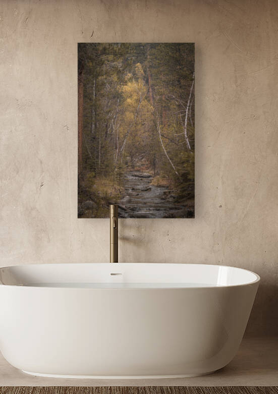 Black Hills Melody by Dream World Images