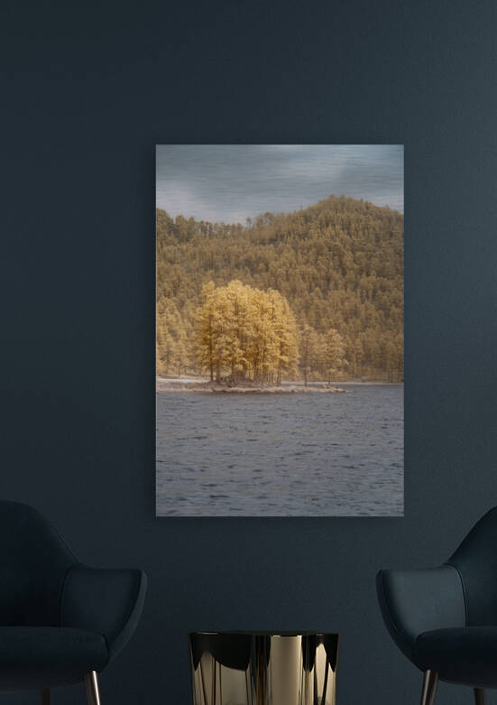 Stockade Lake Tree Island by Dream World Images