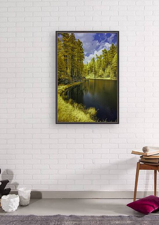 Whispers of Nature: Grace Coolidge Creeks Tranquil Reflections by Dream World Images