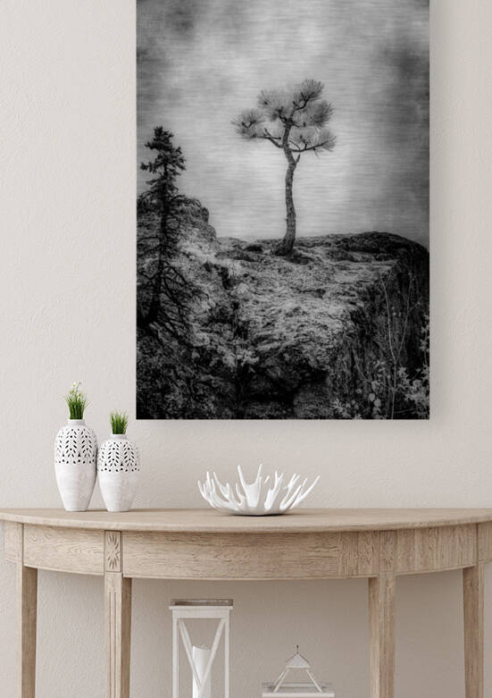 Serene Sylvan Lake: Alone on the Hill by Dream World Images