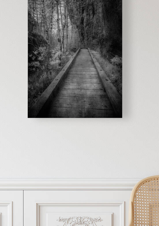 Mystical Journey: Sylvan Lake Wooden Trail in Infrared by Dream World Images