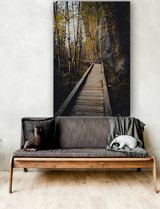 Wooden Trail Serenity: Capturing the Enchanting Rain-Kissed Moments at Sylvan Lake South Dakota by Dream World Images