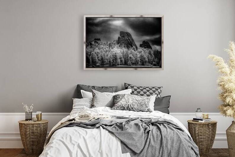 Sylvan Shadows: A Moody Encounter with Natures Drama in Custer State Park by Dream World Images