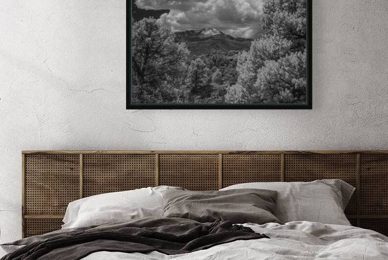 Majestic Pinnacle: A Serene Encounter on Scotchman Trail Garden of the Gods by Dream World Images