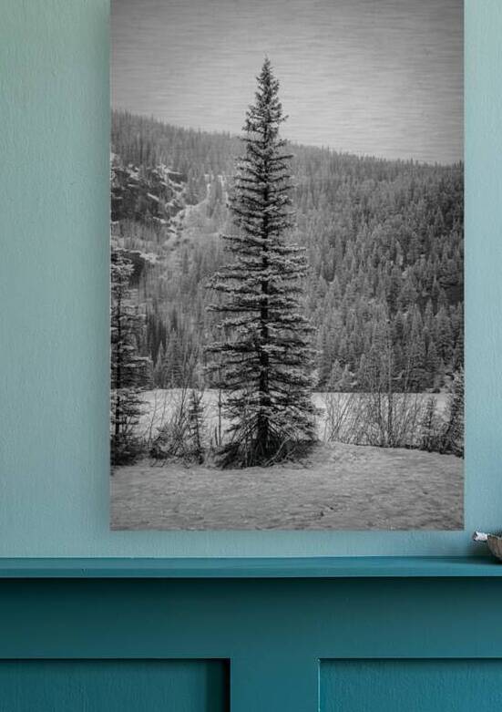 Lone Snowy Pine by Dream World Images