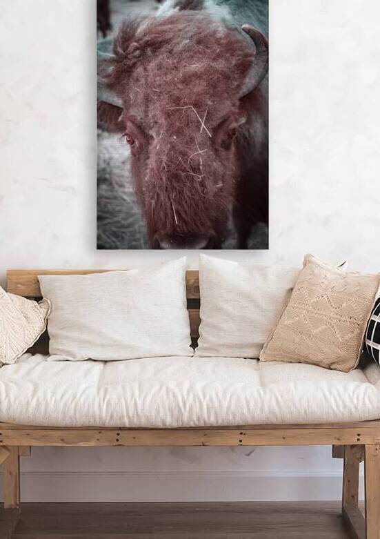 Unkempt Elegance by Dream World Images