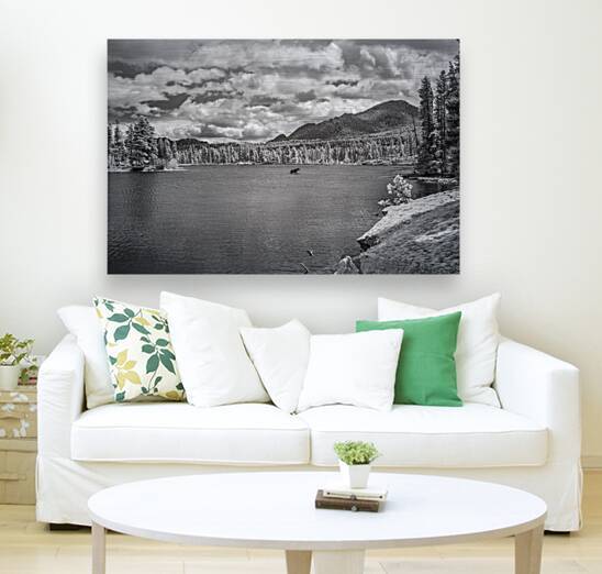 Wild Harmony - A Journey into Natures Beauty by Dream World Images