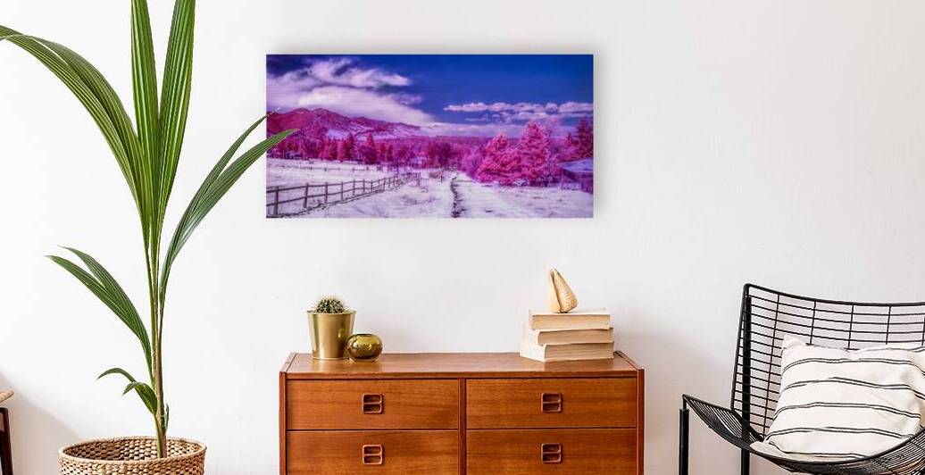 Chautauqua Chronicles: Pink Path by Dream World Images