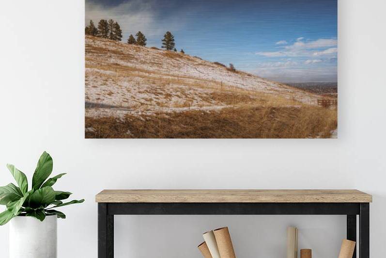 Chautauqua Chronicles: Pines on a Hill by Dream World Images