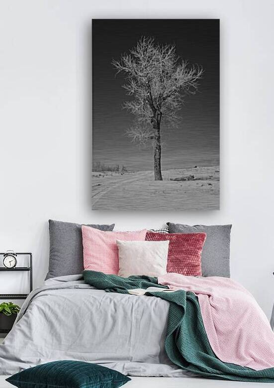 Tall by Dream World Images