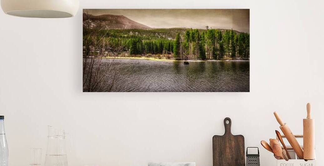 Majestic Moose at Sprague Lake: Sprague Lake by Dream World Images