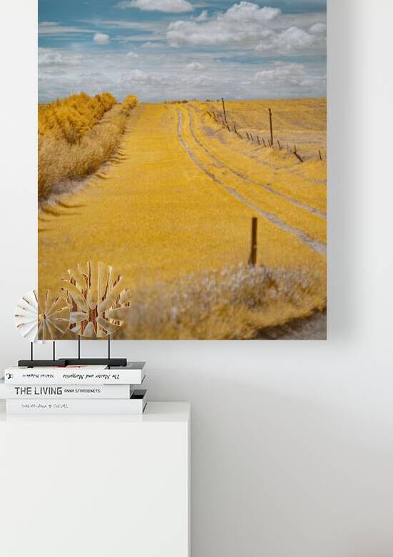 Nebraska Farm Lane - 3 by Dream World Images