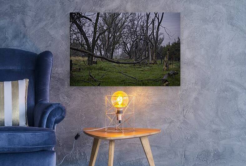 Nebraska Farm - 23 by Dream World Images