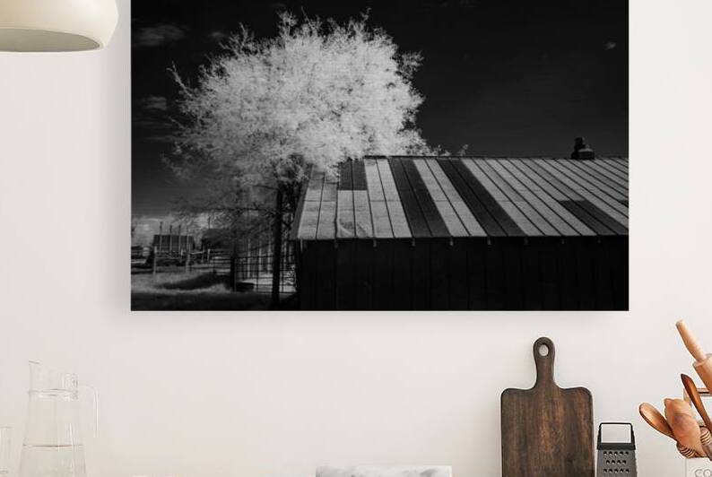 Nebraska Farm - 29 by Dream World Images