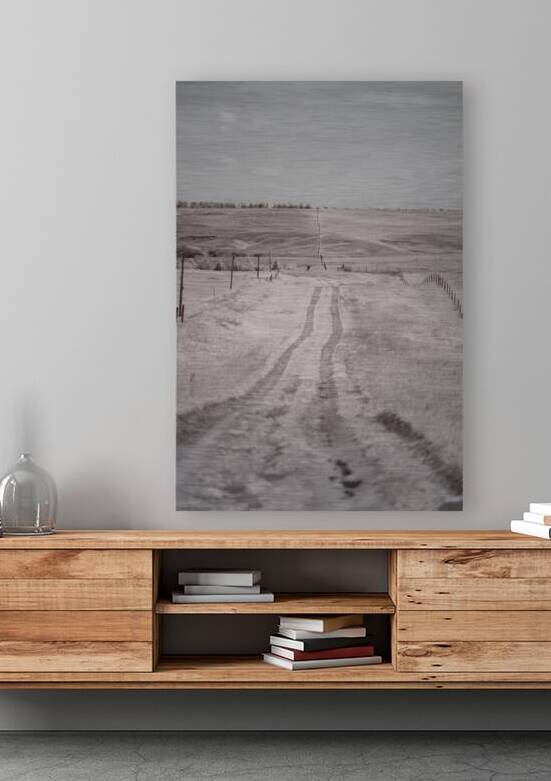 Nebraska Farm Lane -1  by Dream World Images