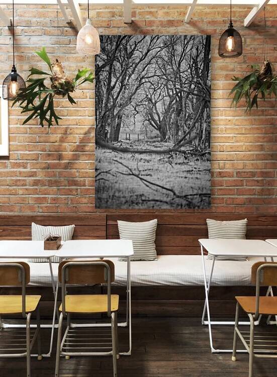 Nebraska Farm - 21 by Dream World Images