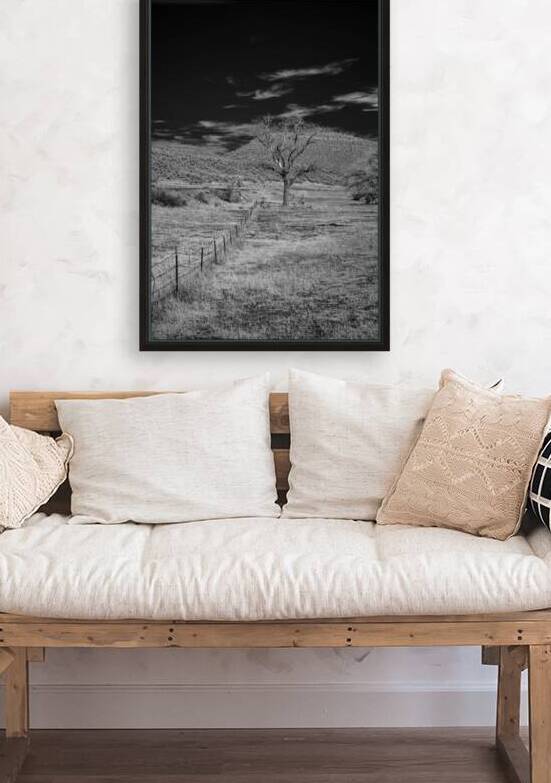 Whispers of Isolation in Monochrome by Dream World Images