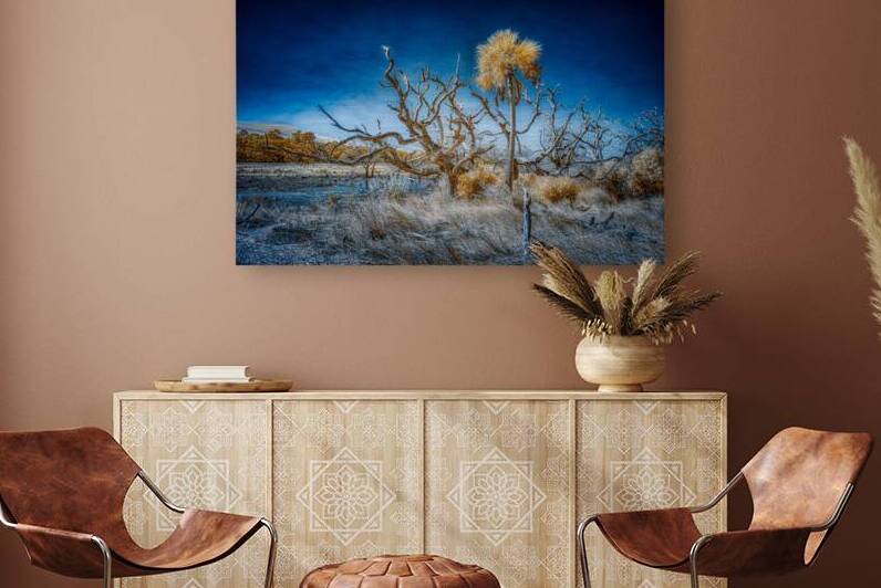 Isolated Serenity: Rows End by Dream World Images