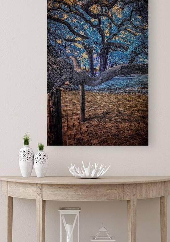 Support by Dream World Images