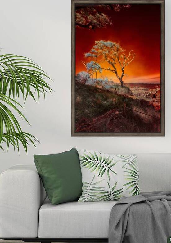 Ruby Bonsai: A Botanical Marvel Unveiled on Driftwood Beach by Dream World Images