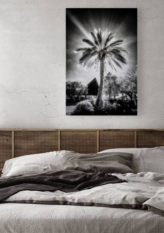 Lighted Palm by Dream World Images