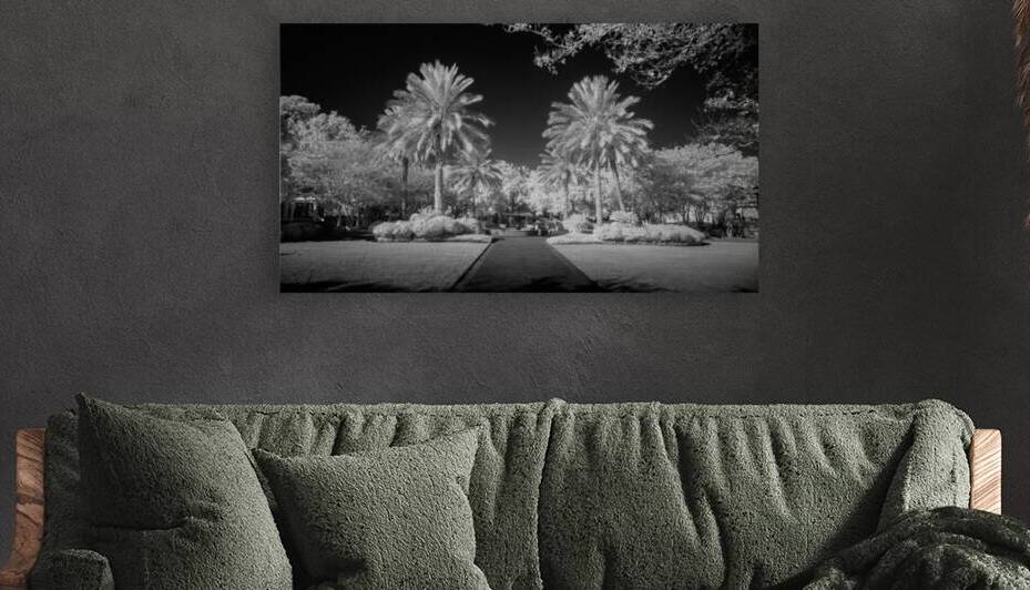 Flanked by Dream World Images