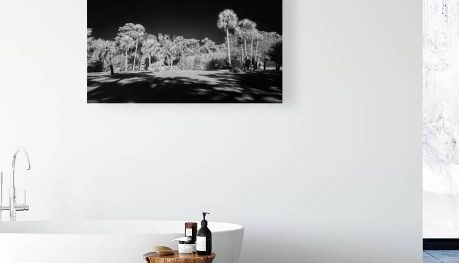 Lighted Center by Dream World Images