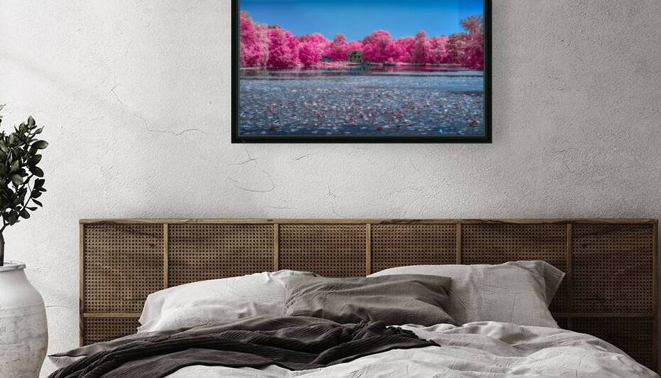 Pinker by Dream World Images