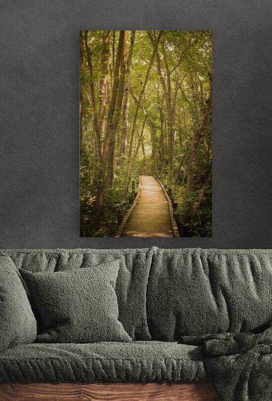 Pathway to Woodland Dreams by Dream World Images