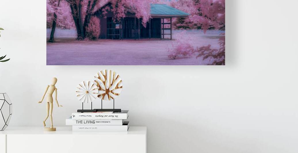 Infrared Delaware Barn by Dream World Images