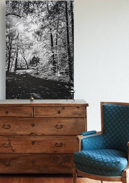 Roasted Road by Dream World Images